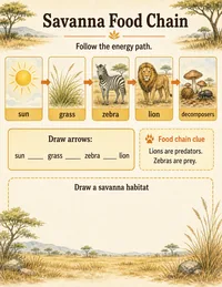 Savanna food chain worksheet