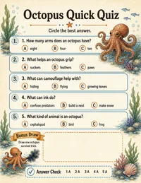 Octopus quick quiz
