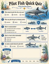 Pilot fish and sharks quick quiz