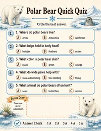 Polar bear Arctic survival quick quiz