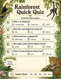 Rainforest adaptations quick quiz