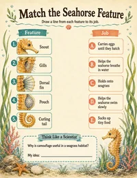Seahorse adaptation matching worksheet