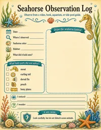 Seahorse observation log
