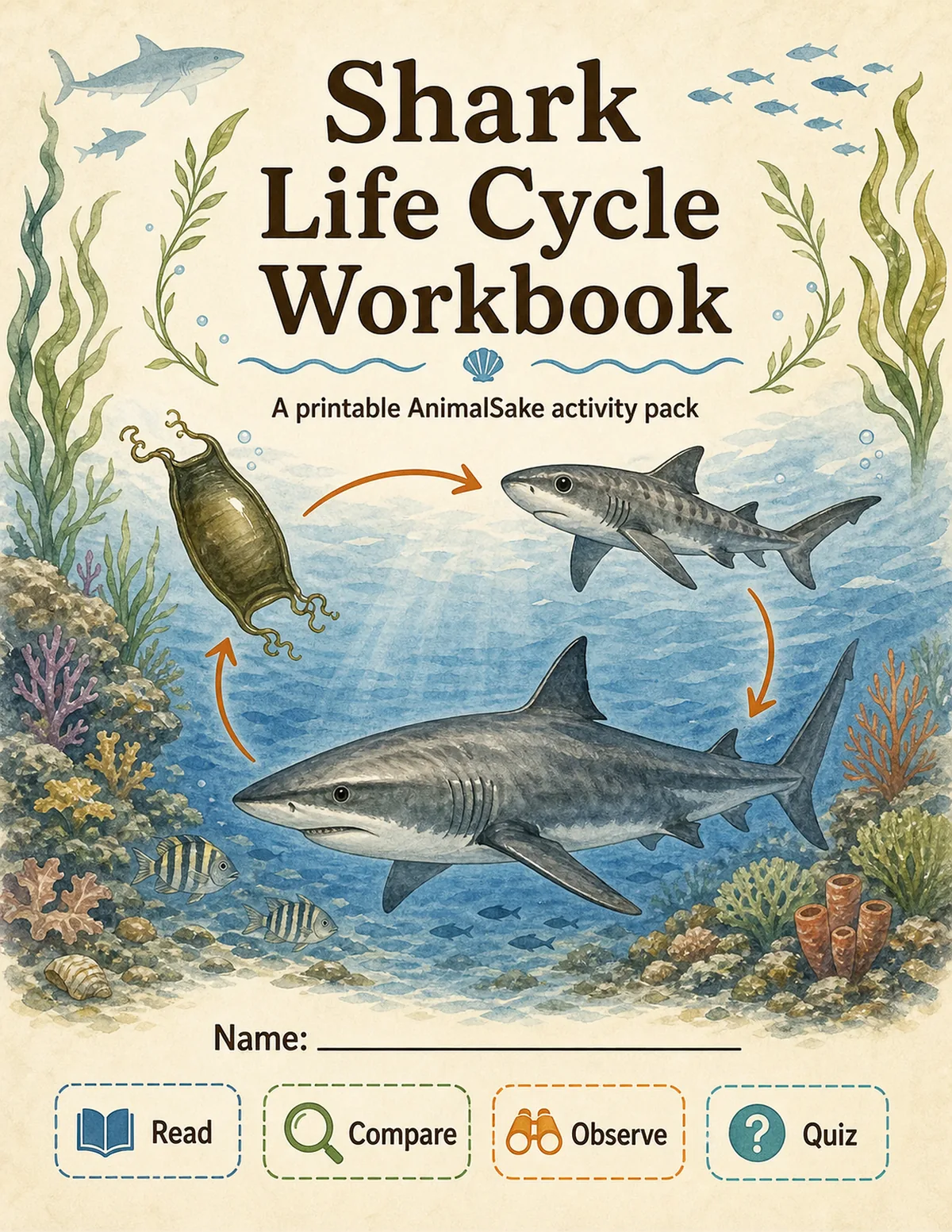 Shark Life Cycle printable workbook cover for kids