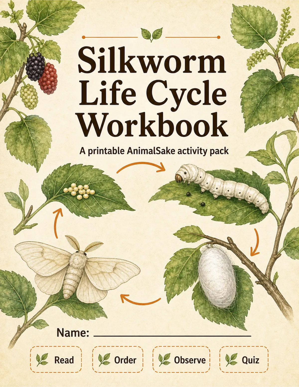 Silkworm Life Cycle printable workbook cover for kids