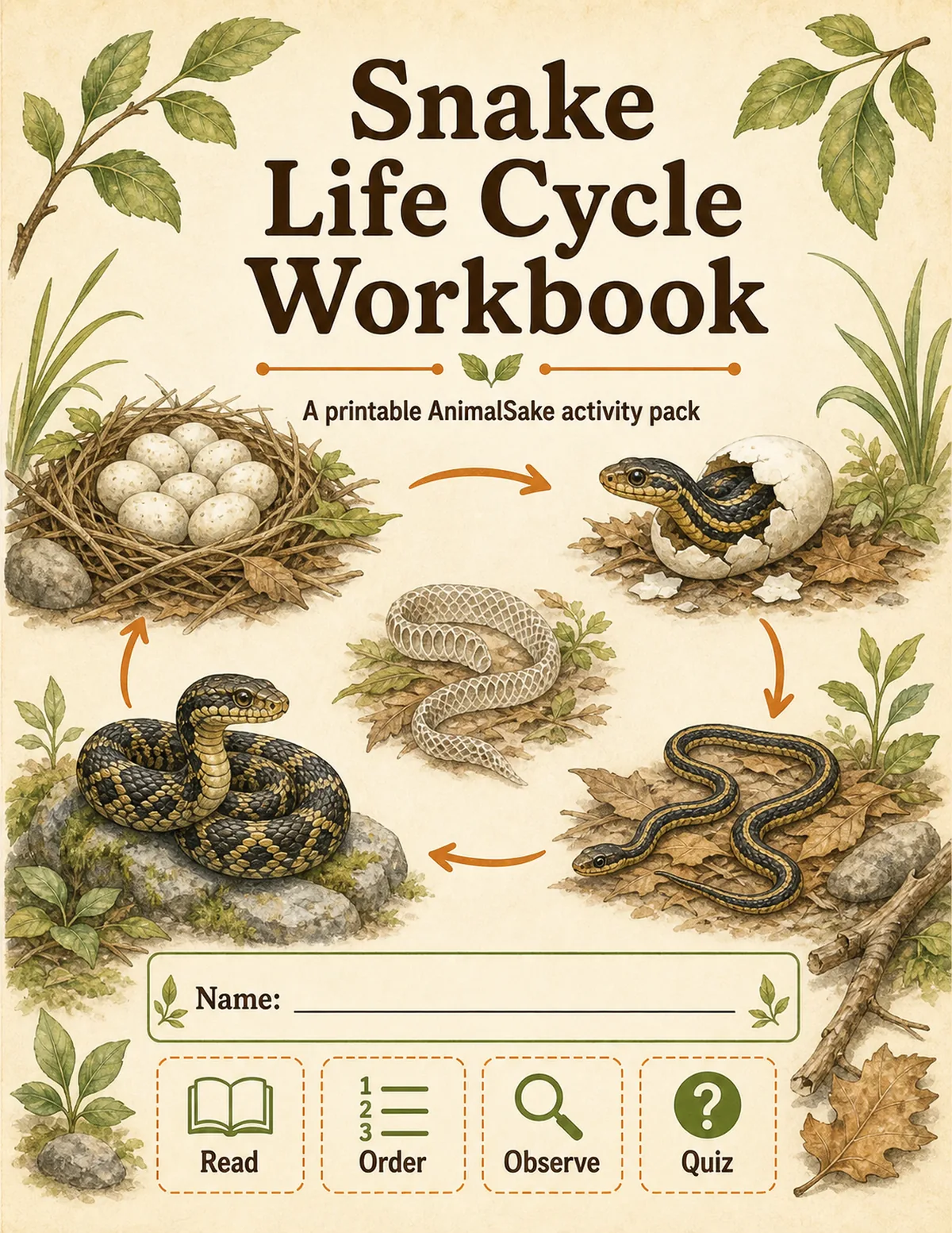 Snake Life Cycle printable workbook cover for kids