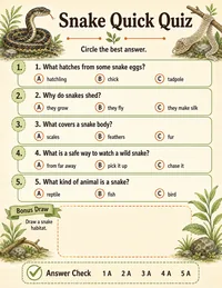 Snake quick quiz