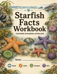 Starfish Facts printable workbook