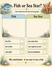 Fish versus sea star comparison activity