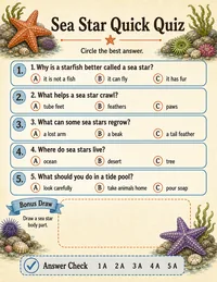 Starfish facts quick quiz