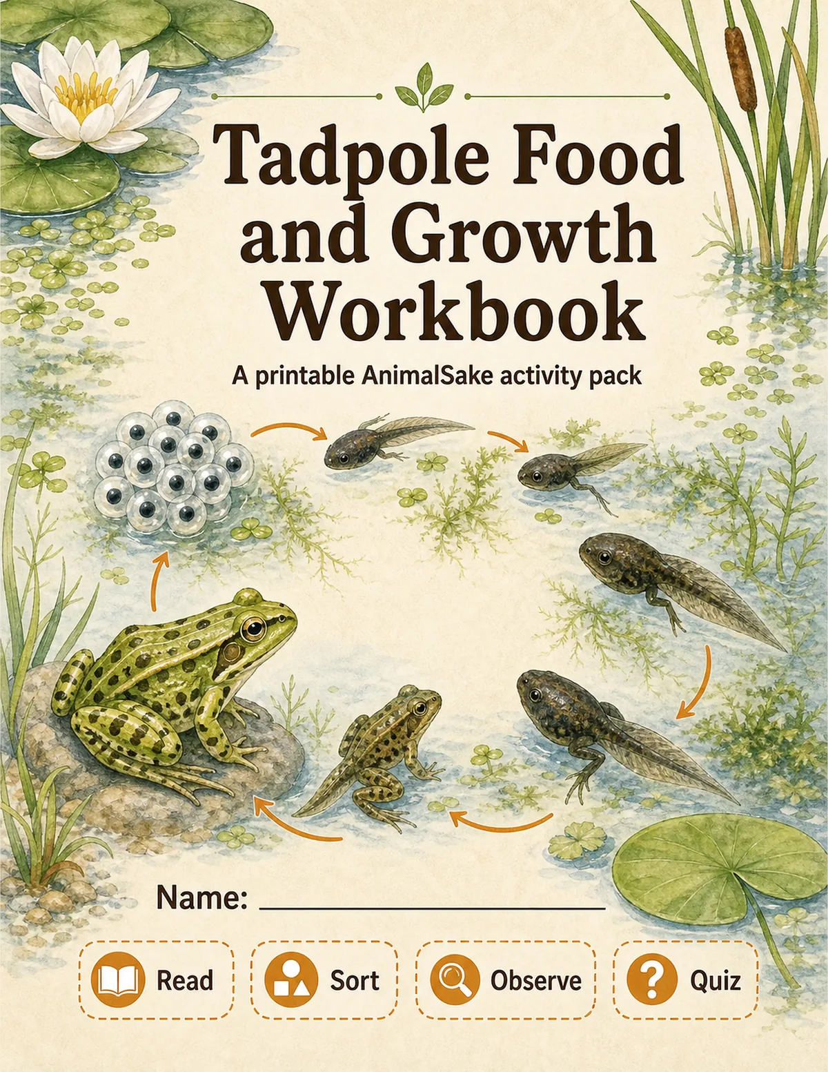 Tadpole Food and Growth printable workbook cover for kids