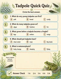 Tadpole food and growth quick quiz
